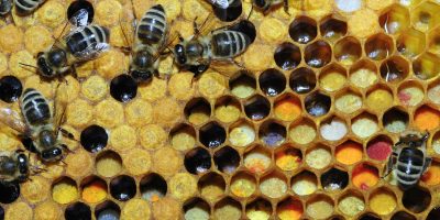 Resultaatgericht / opbrengstgericht leidinggeven